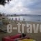 Constantino'S Studios_travel_packages_in_Crete_Chania_Chania City