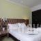 Athens Lotus Hotel_best prices_in_Hotel_Central Greece_Attica_Athens