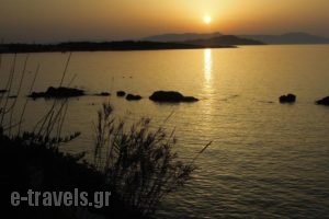 Klinakis Beach Hotel_best prices_in_Hotel_Crete_Chania_Chania City