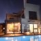 Stefanos Villa Lagonissi_accommodation_in_Villa_Central Greece_Attica_Athens