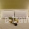 Phidias Hotel_best deals_Hotel_Central Greece_Attica_Athens